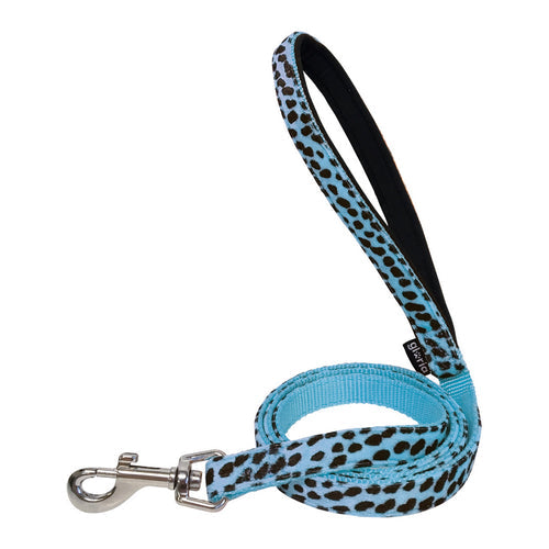 Sorties pour Chien