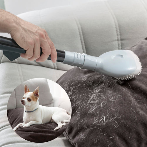 Confort et Bien-être pour Chat