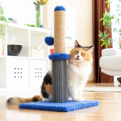 Jouets pour Chat