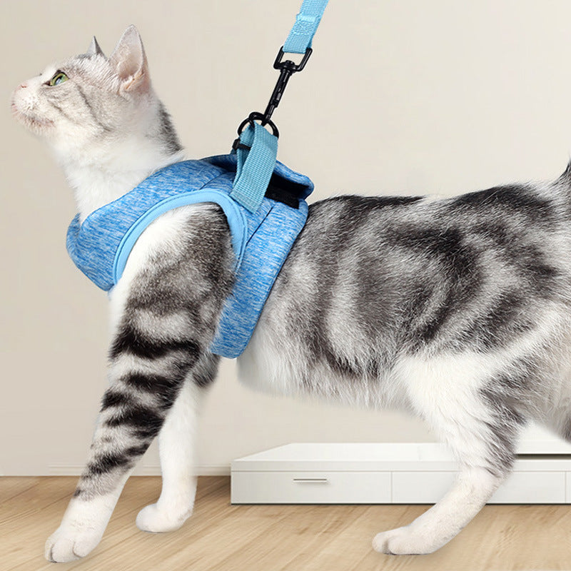 Laisse pour Chat