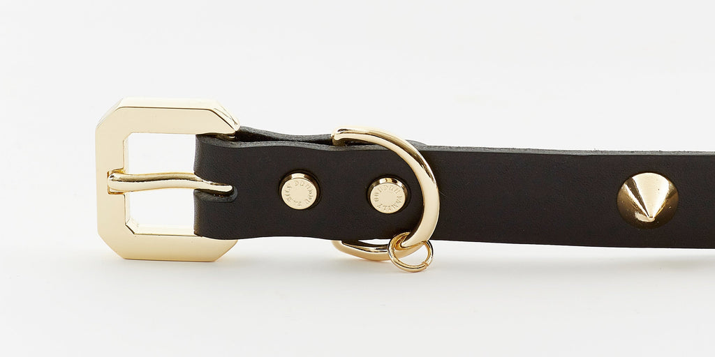 Golden Spike Leather Dog Collar - Black