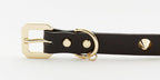 Golden Spike Leather Dog Collar - Black