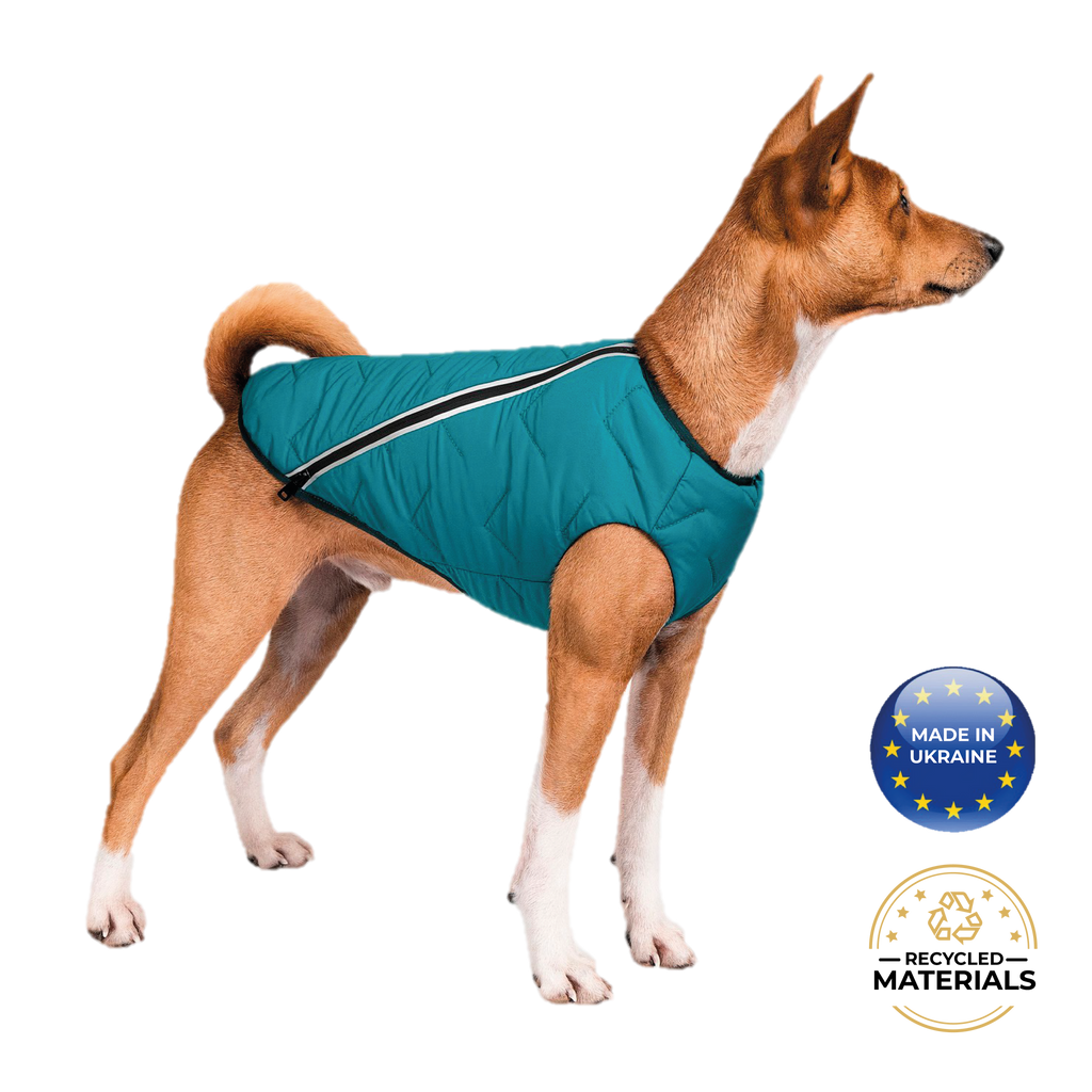 Manteau pour chien durable et écologique