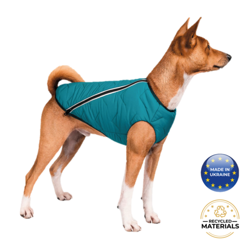 Manteau pour chien durable et écologique