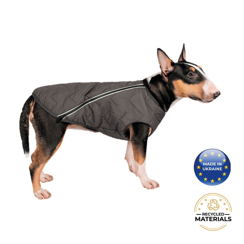 Manteau pour chien durable et écologique