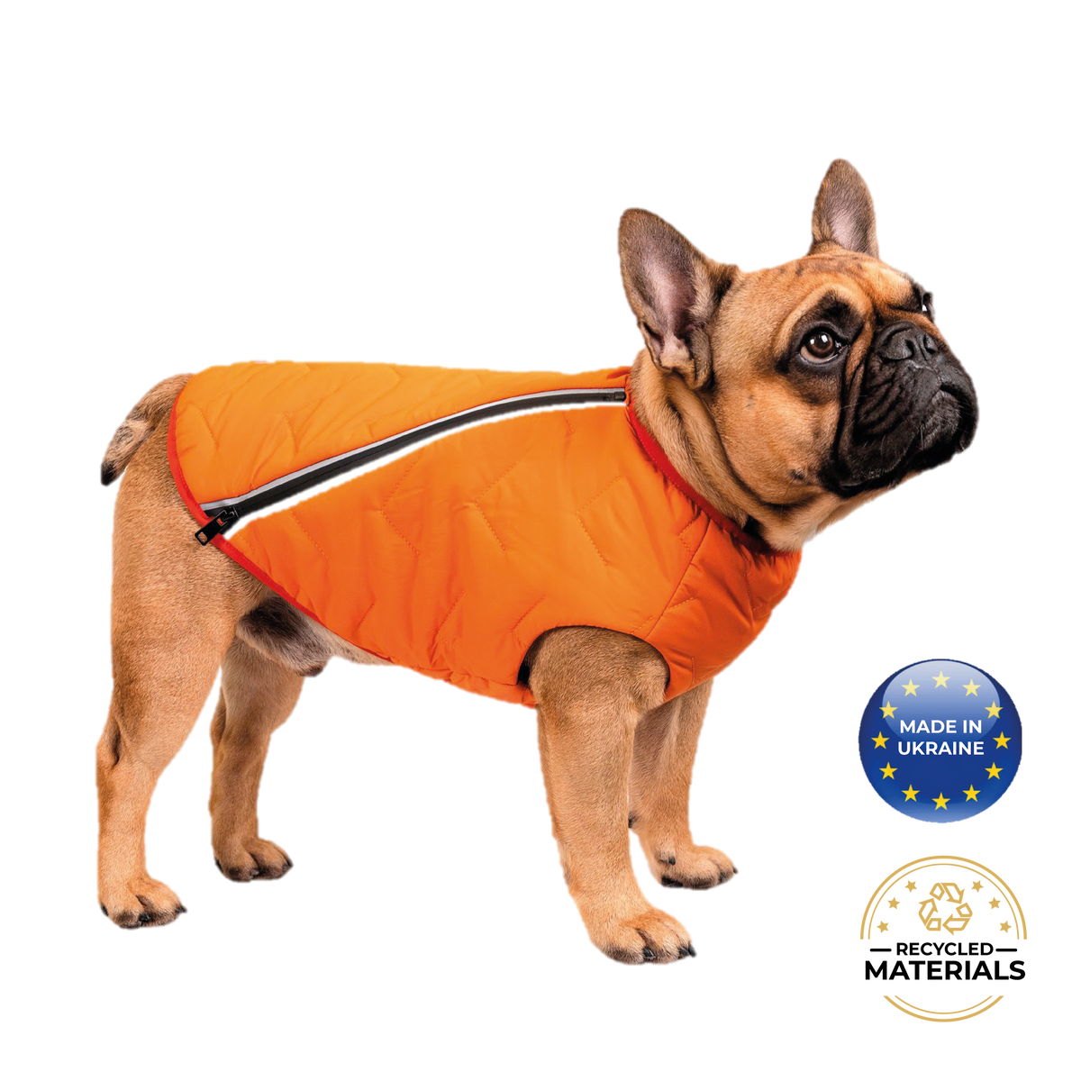 Manteau pour chien durable et écologique