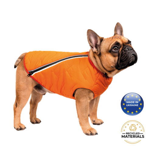 Manteau pour chien durable et écologique