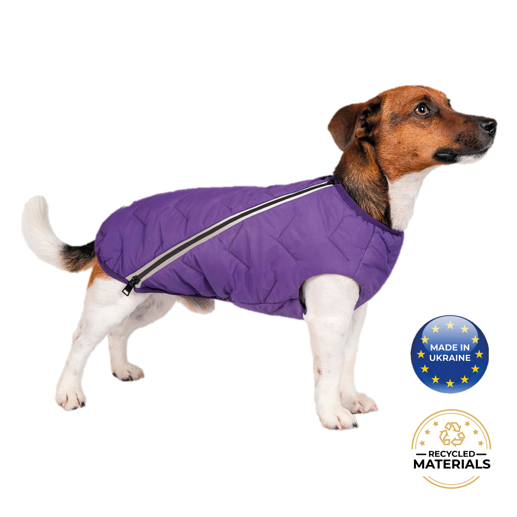 Manteau pour chien durable et écologique