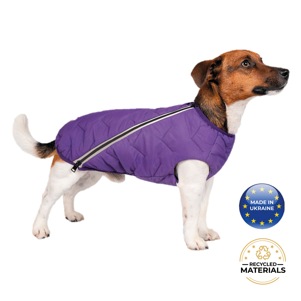 Manteau pour chien durable et écologique