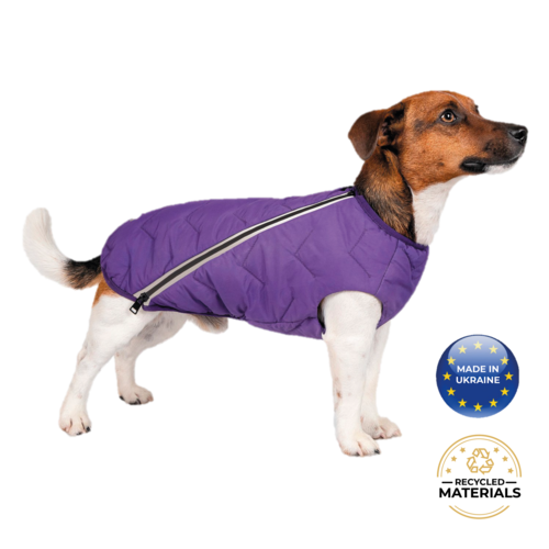 Manteau pour chien durable et écologique