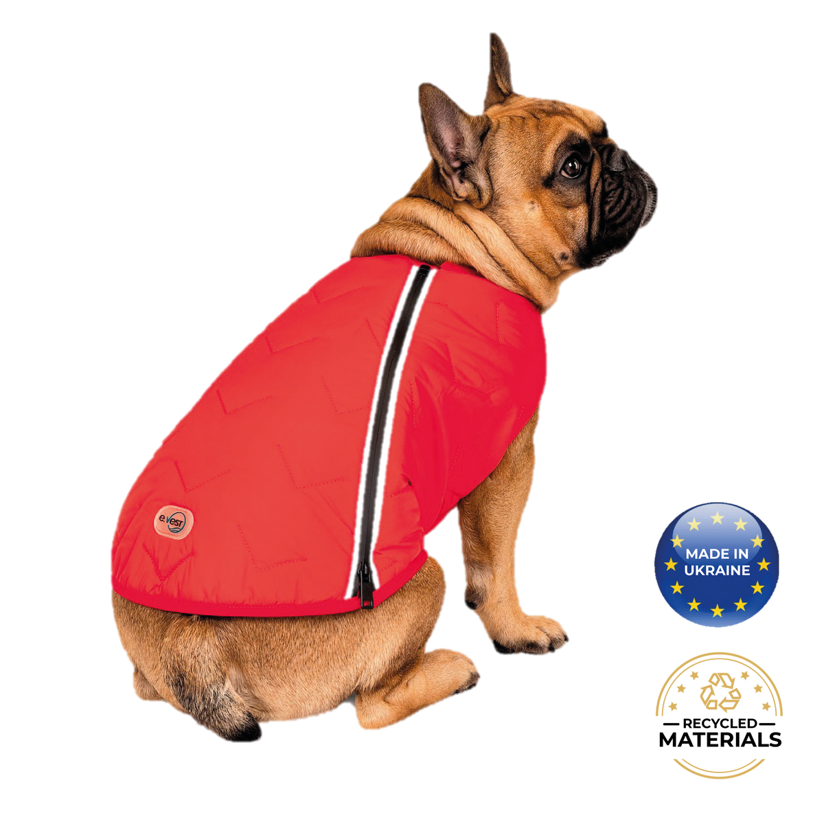 Manteau pour chien durable et écologique