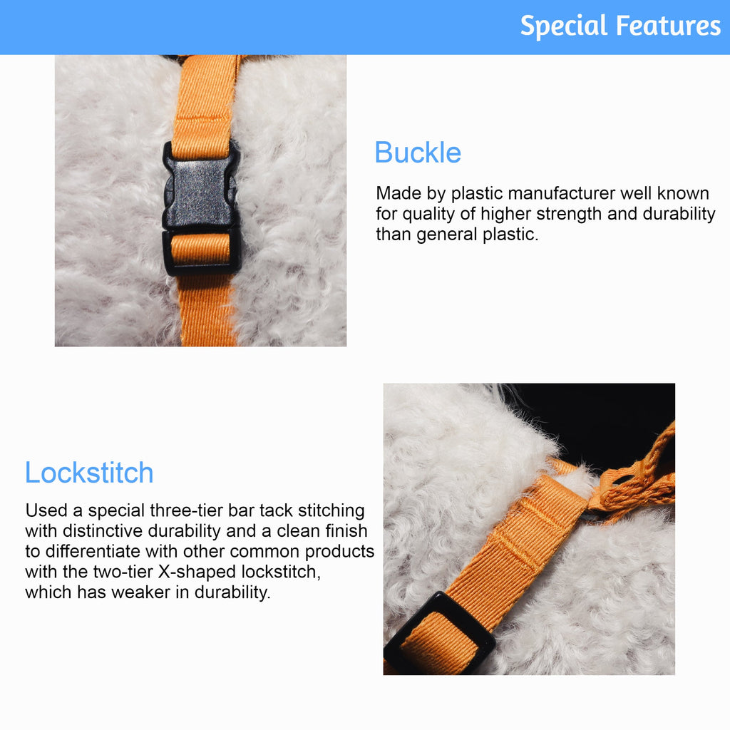 Lof Everyday Dog Collar