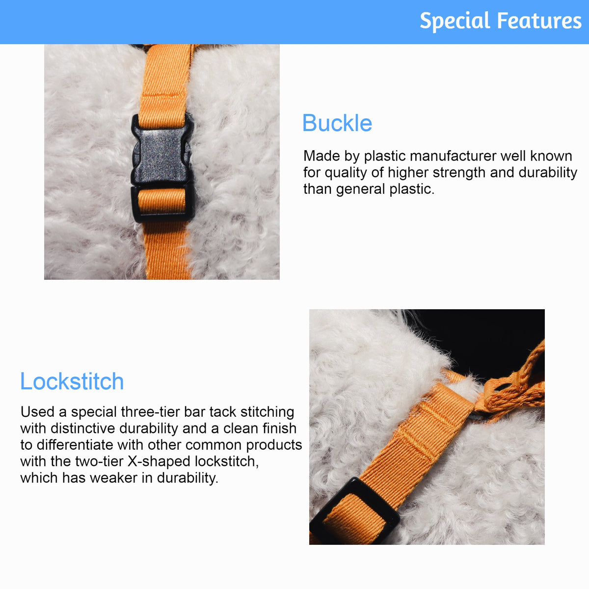 Lof Everyday Dog Collar