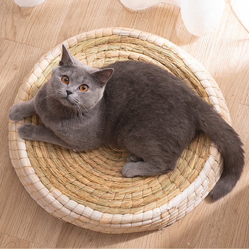 Maisons et Tentes pour Chat