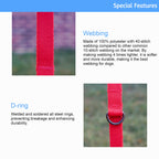 Lof Folding Dog Lead