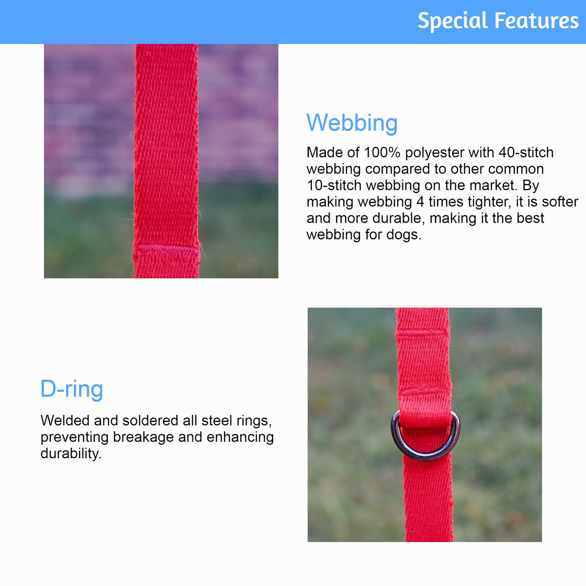 Lof Folding Dog Lead