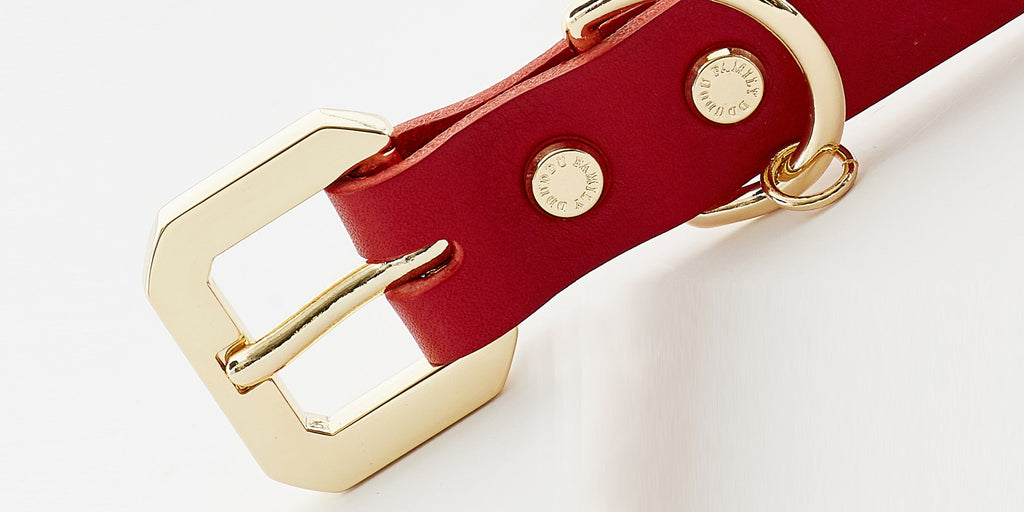 Golden Spike Leather Dog Collar - Red