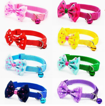 Collier pour Chat
