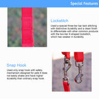 Lof Folding Dog Lead