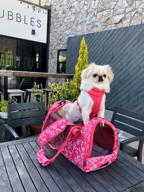 Hideaway Duffel Pet Carrier