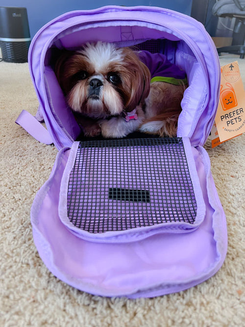 Hideaway Duffel Pet Carrier