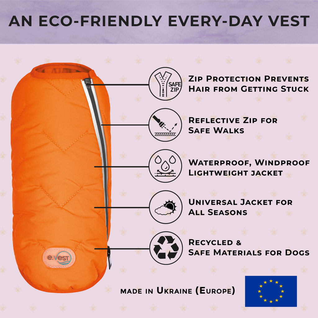 Manteau pour chien durable et écologique