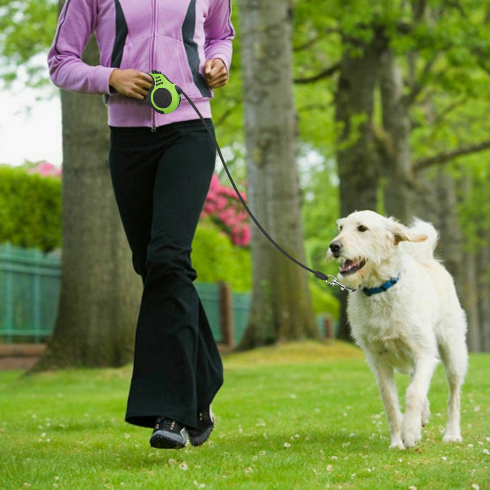 Automatic Retractable Dog Leash - 16.5ft