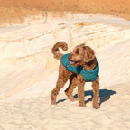 Manteau pour chien durable et écologique