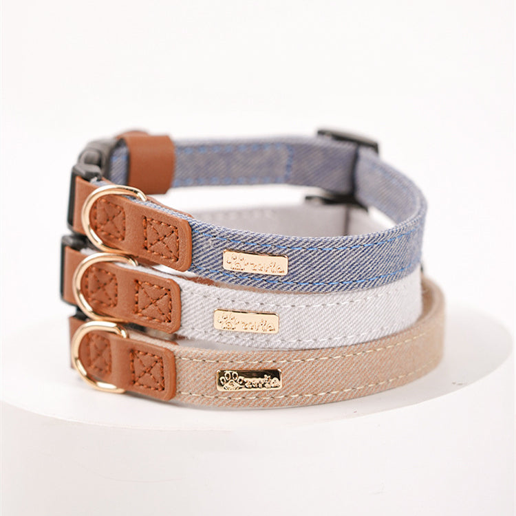 Colliers pour Chien