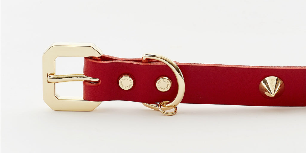 Golden Spike Leather Dog Collar - Red