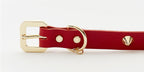 Golden Spike Leather Dog Collar - Red