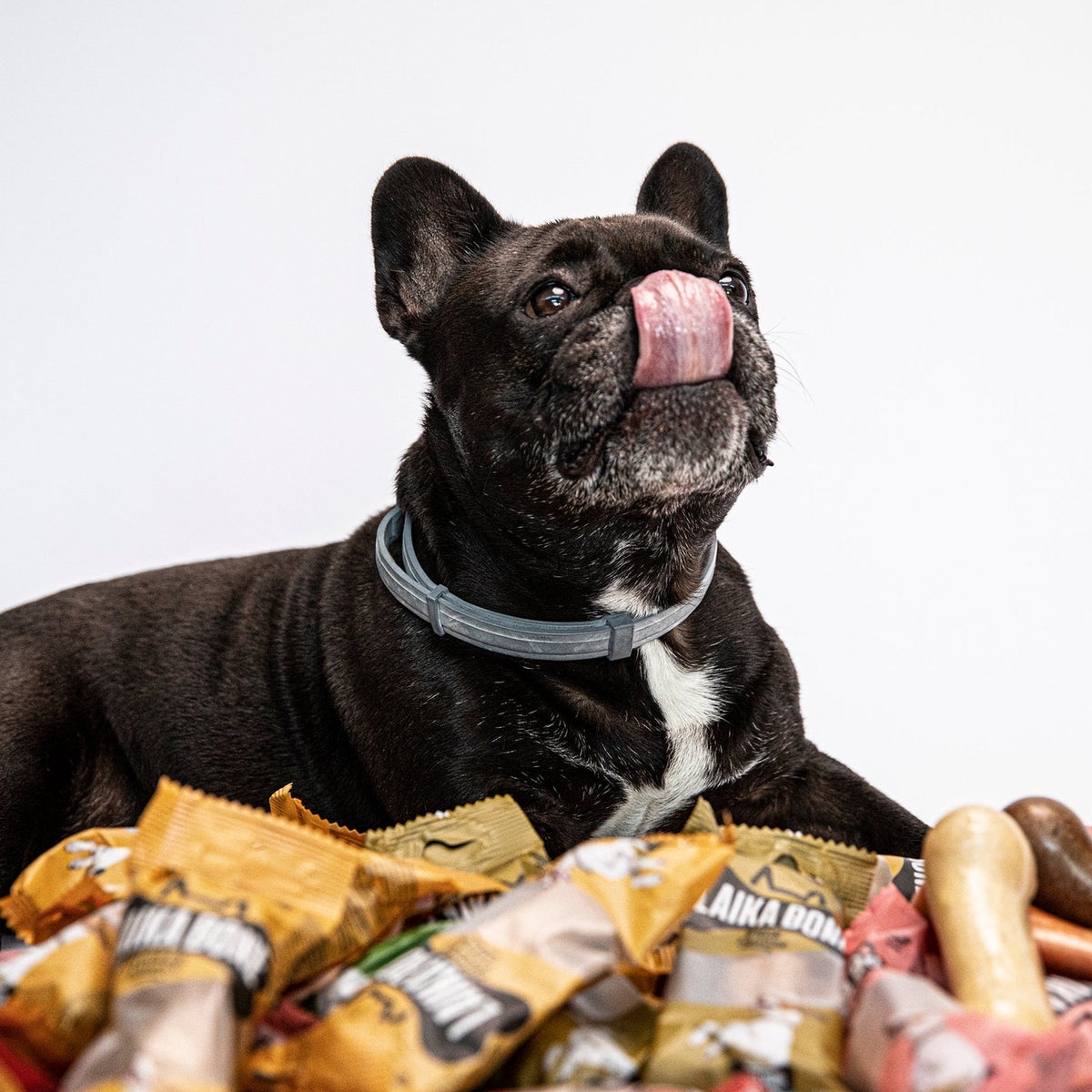 Cheese & Chicken Dog Chews (Box)