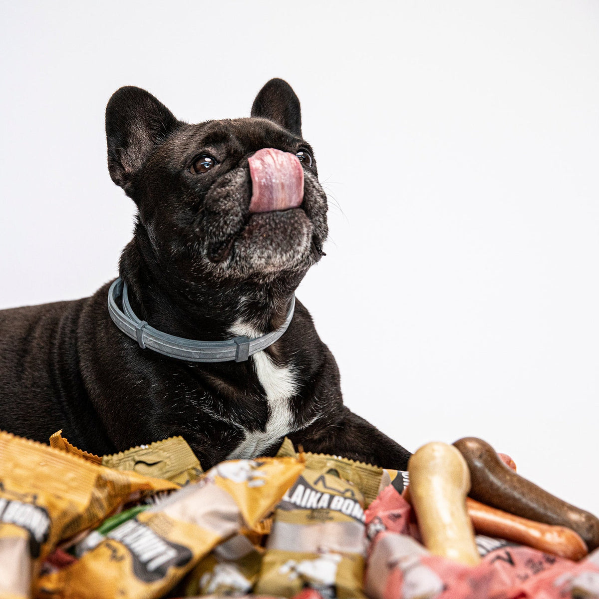 Cheese & Ham/Bacon Dog Chews (Box)