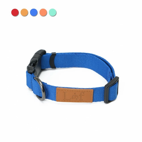 Lof Everyday Dog Collar