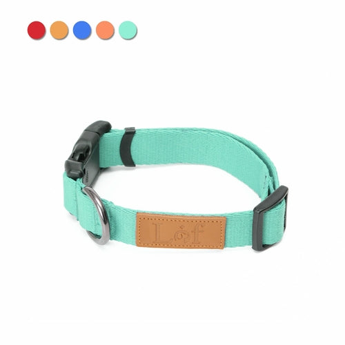 Lof Everyday Dog Collar
