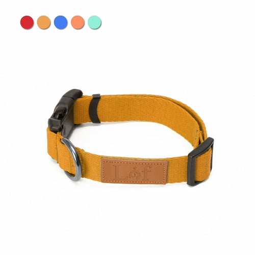 Lof Everyday Dog Collar