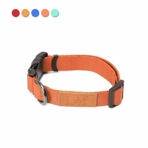 Lof Everyday Dog Collar