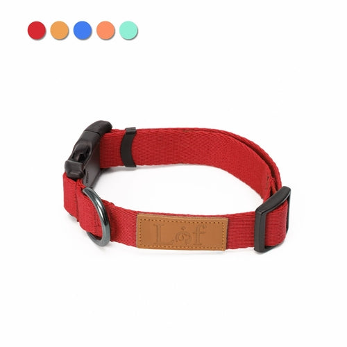 Lof Everyday Dog Collar