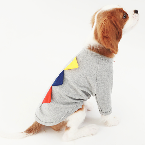 Two-Piece Dog Costume Set