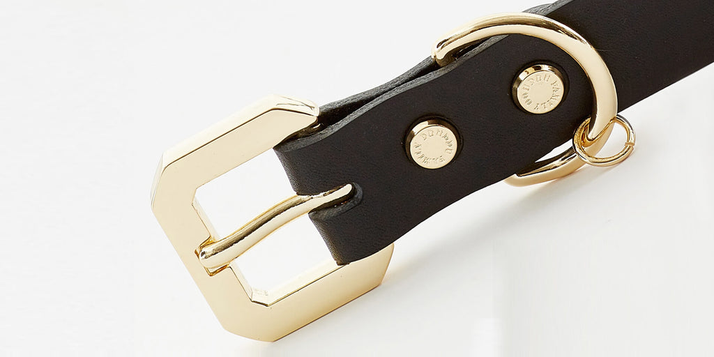 Golden Spike Leather Dog Collar - Black