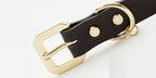Golden Spike Leather Dog Collar - Black