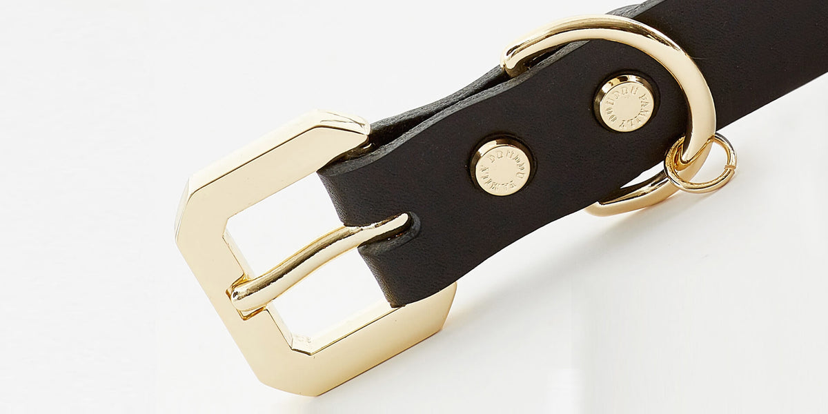 Golden Spike Leather Dog Collar - Black