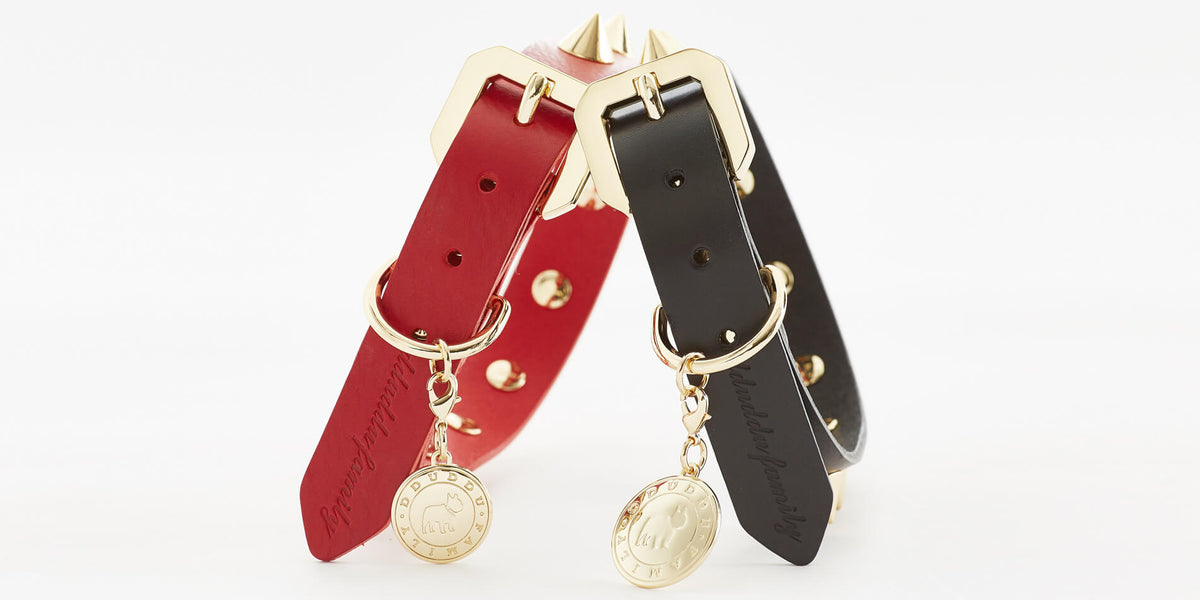 Golden Spike Leather Dog Collar - Red