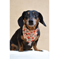 Firefighter Support Dog Bandana