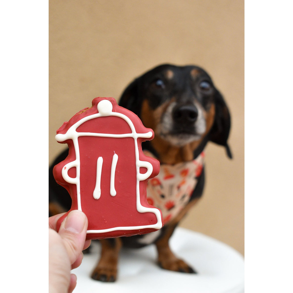 Firefighter Support Dog Bandana