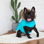 Winter Sailor Dog Parka - Aqua