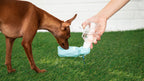 Travel Dog Water Bottle with Foldout Bowl
