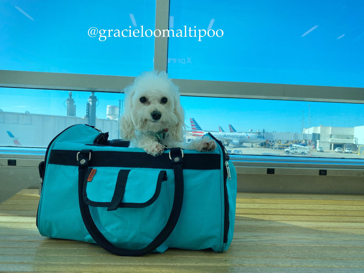 Hideaway Duffel Pet Carrier