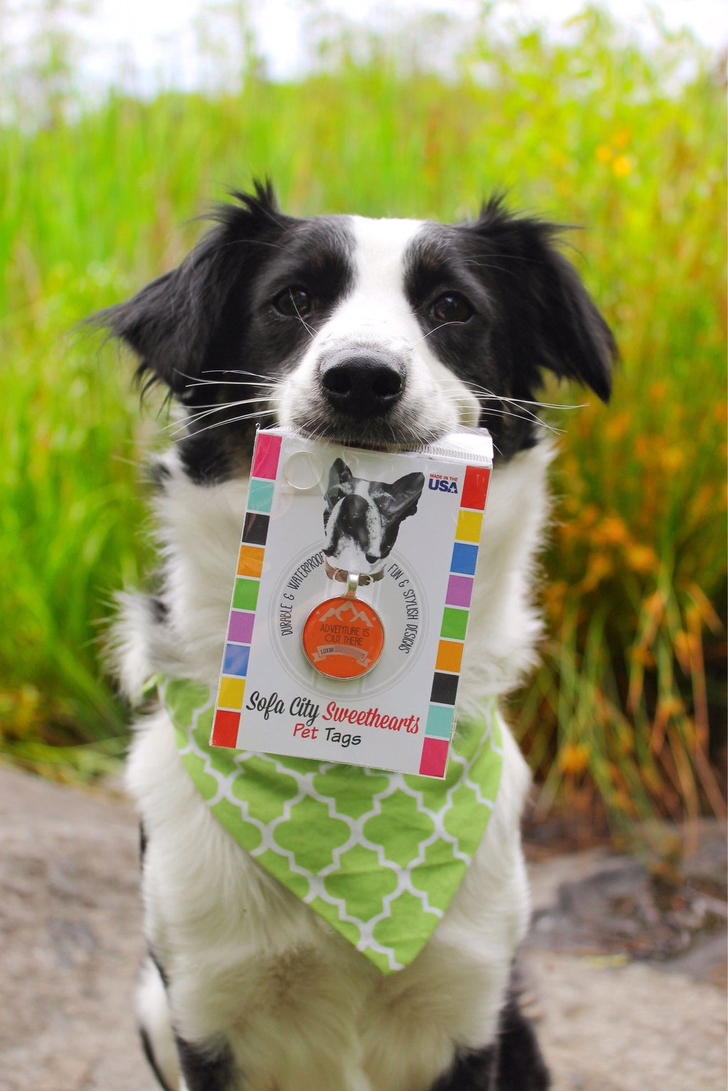 "Adventure Is Out There" Personalized Pet ID Tag