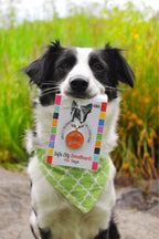 "Adventure Is Out There" Personalized Pet ID Tag